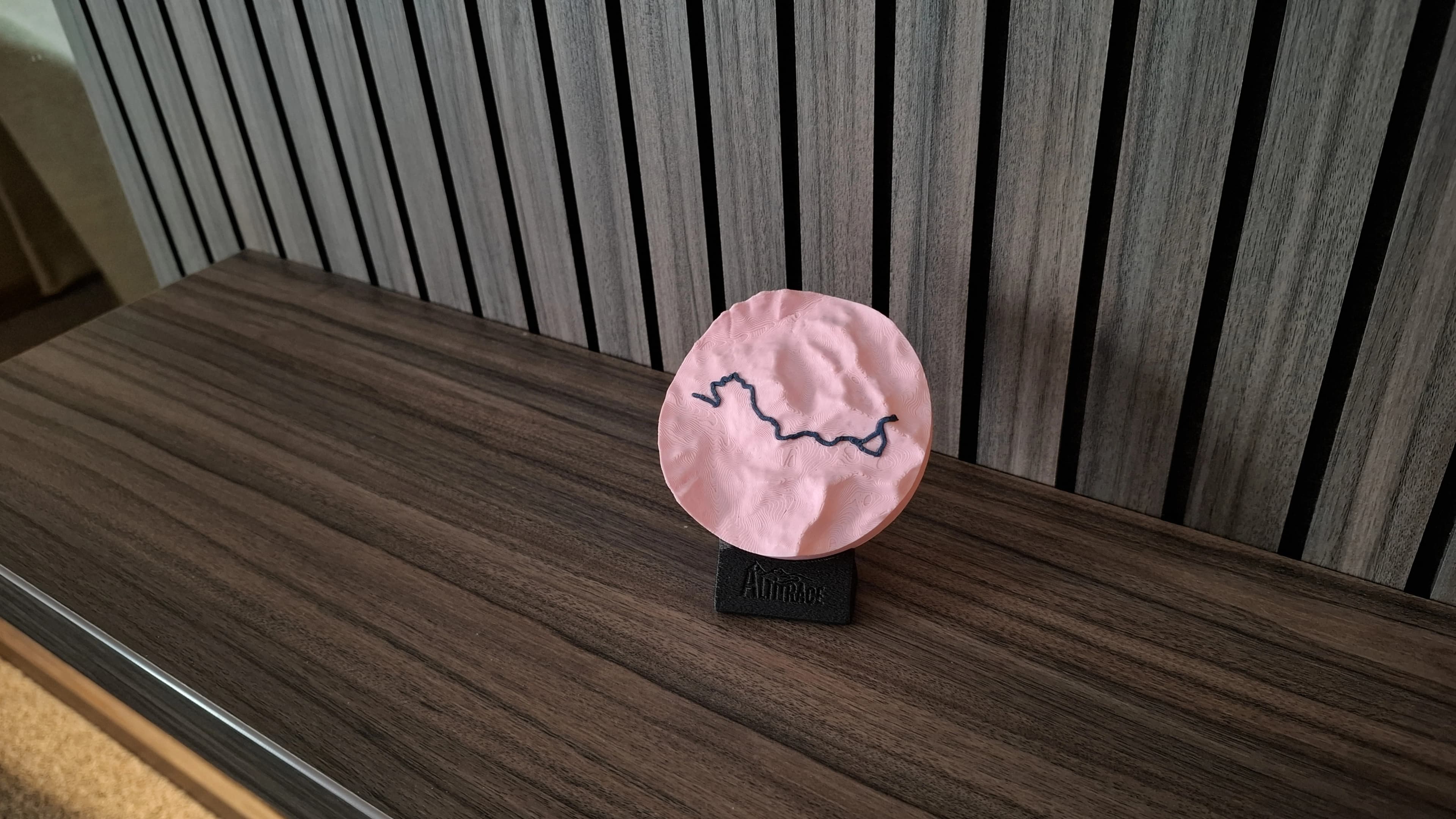 Mur décoré avec une carte en relief 3D d’un massif